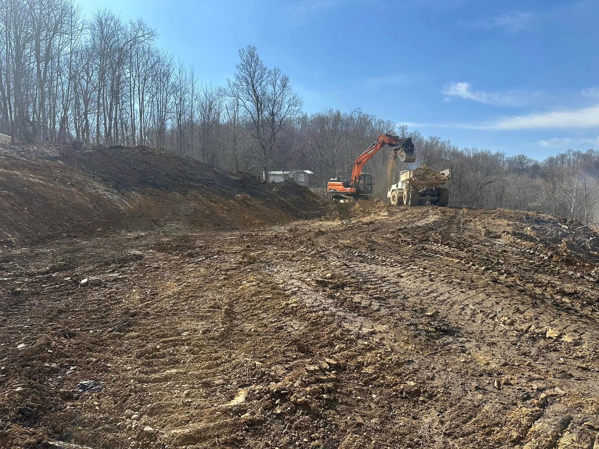 An orange excavator clears earth and debris from a sloping, wooded construction site under a clear blue sky.