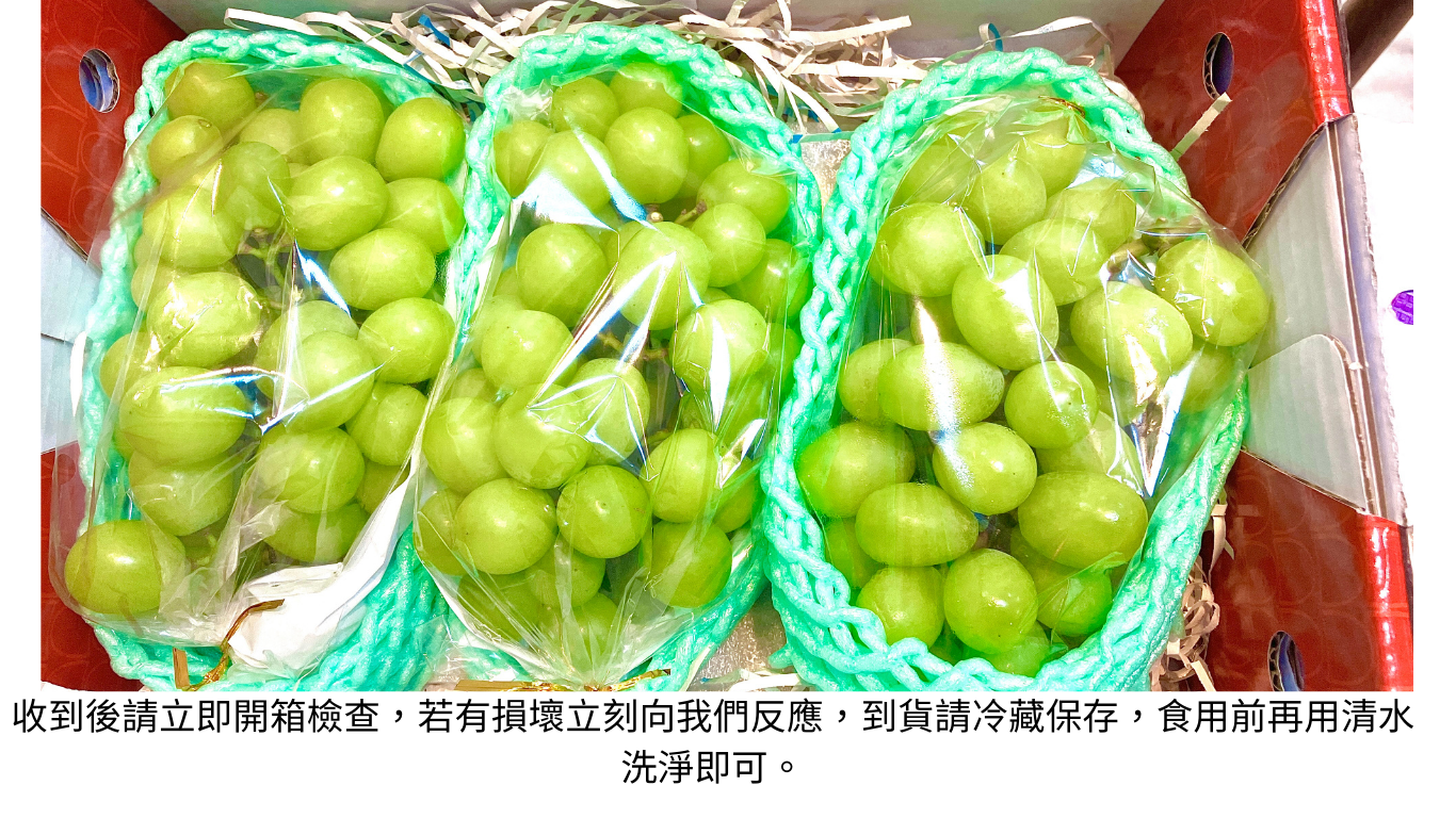 麝香葡萄-台灣卓蘭