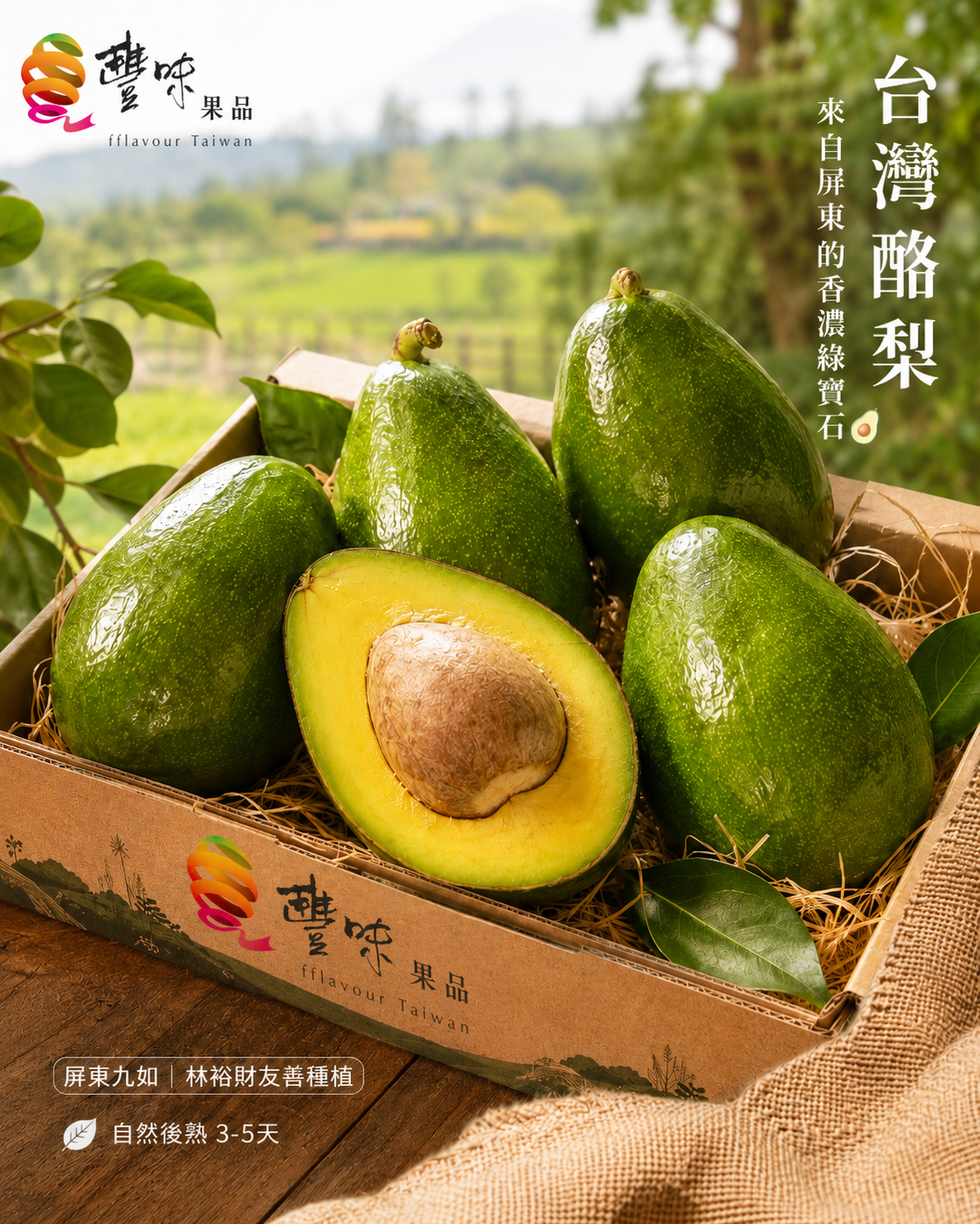 酪梨友善種植晚中生果5斤