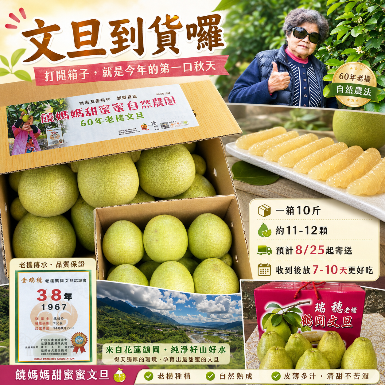 60年老欉柚子-饒媽媽甜蜜蜜文旦