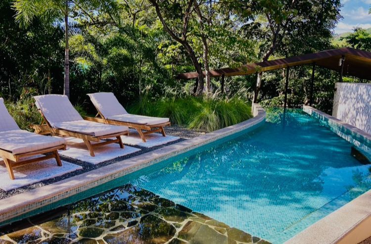 Swimming pool with chaise lounges, surrounded by lush greenery.