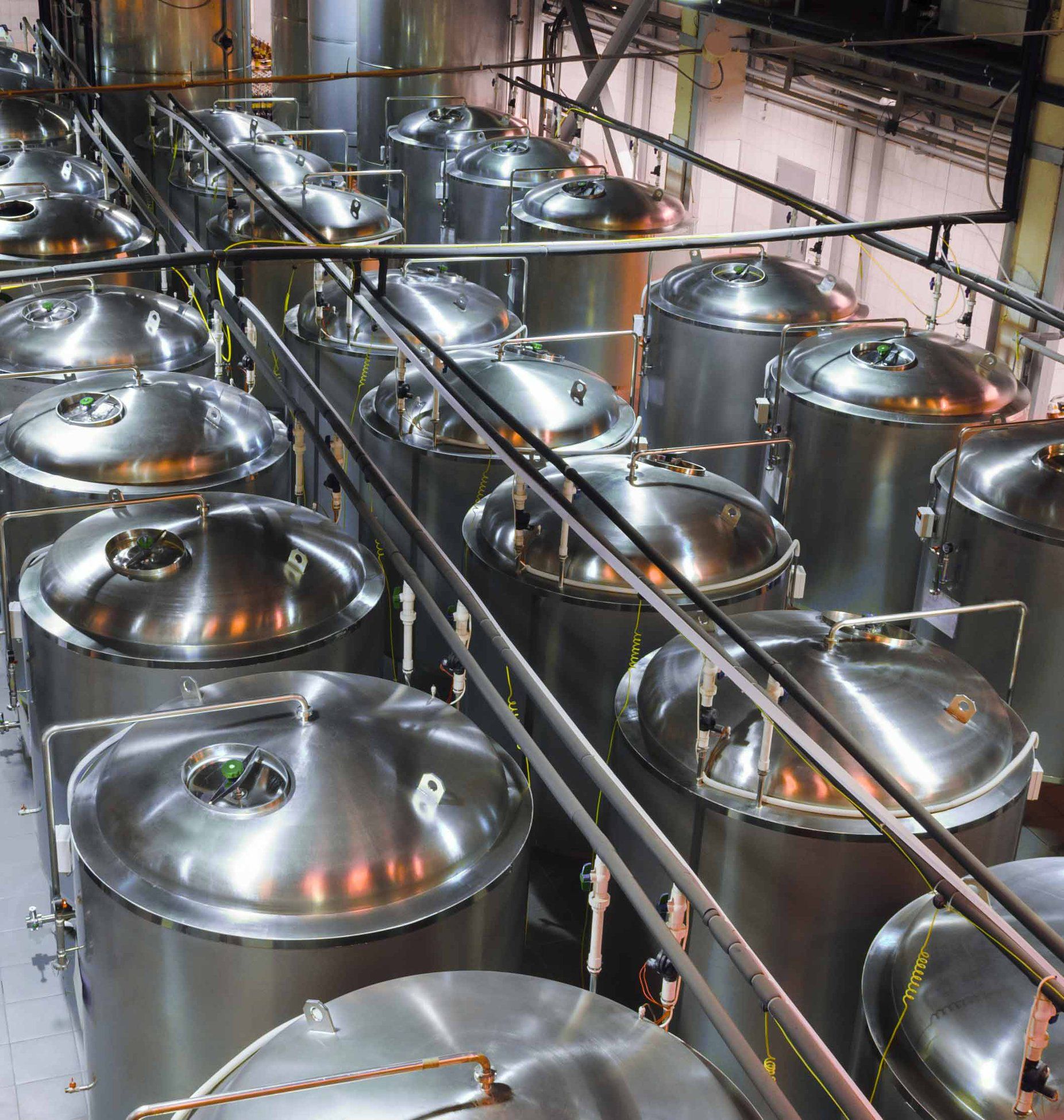 Rows of large, shiny stainless steel fermentation tanks in a brewery.