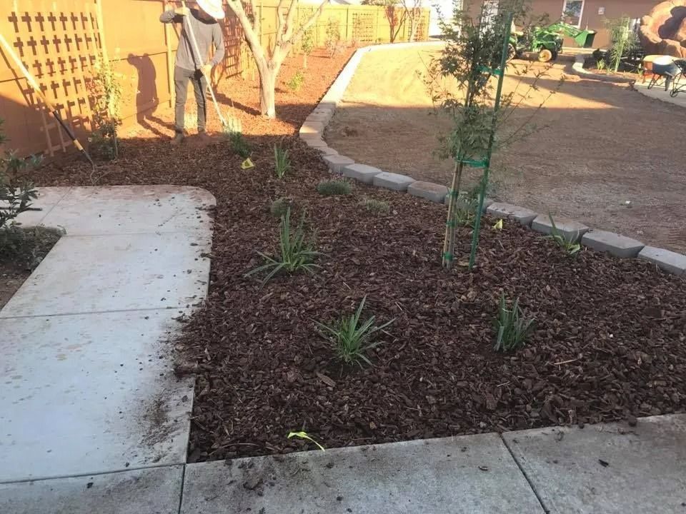 A person gardens in a mulch-covered yard with small plants, a paved walkway, and stone bordering.