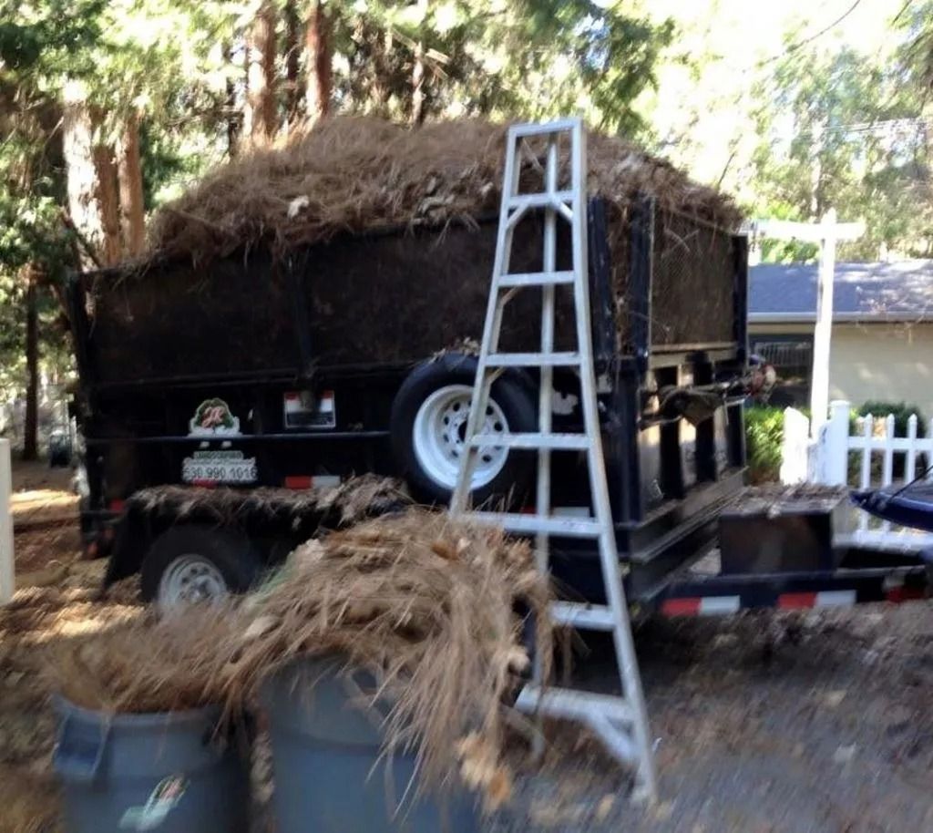 A black dump trailer filled with yard debris, parked outdoors next to a ladder and two large trash bins.