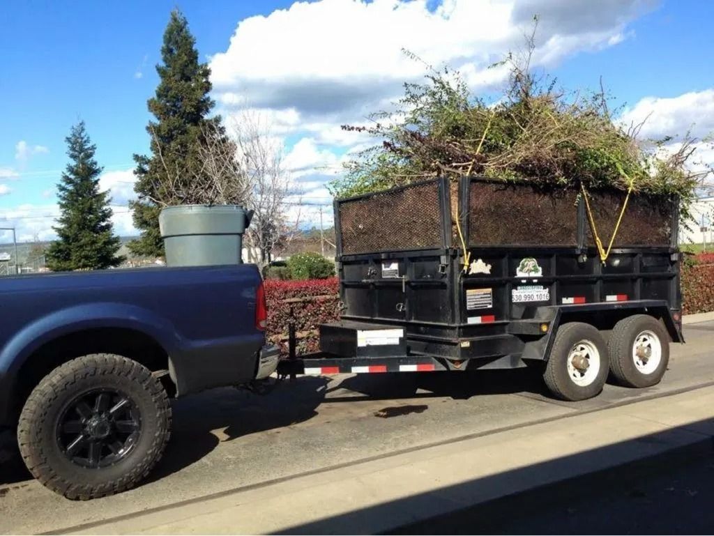 A blue pickup truck towing a black dump trailer filled with yard waste on a residential street.