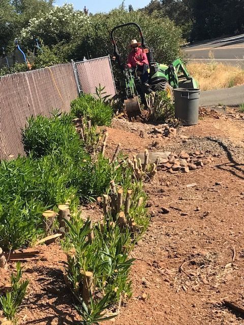 A person operates a green tractor to clear brush near a fence on a sunny, dry hillside.