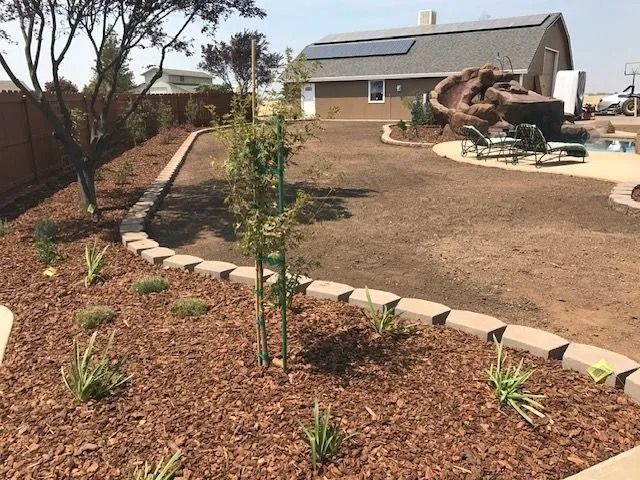A landscaped backyard featuring wood mulch beds, stone borders, a central young tree, and a pool area near a house.