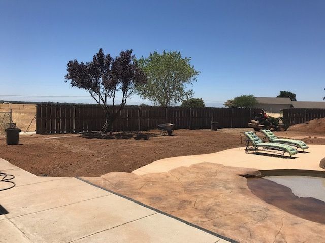 A sunny backyard with a pool, two lounge chairs, and a wood fence behind a large tree on a freshly mulched dirt ground.
