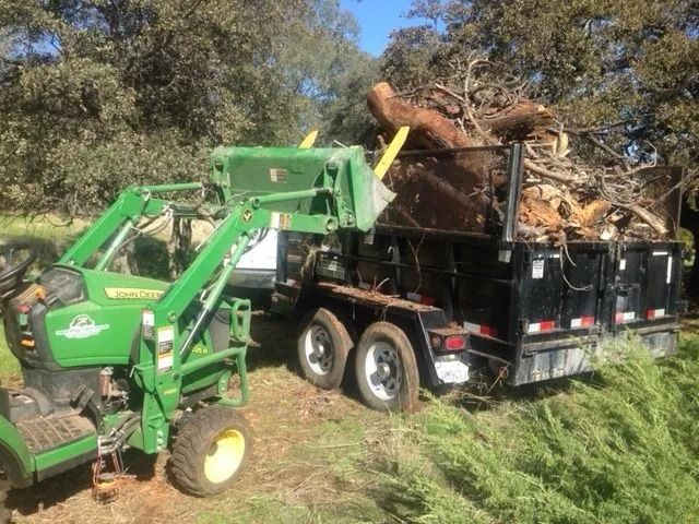 A green John Deere tractor uses a front-end loader to deposit tree debris into a black dump trailer in a grassy area.