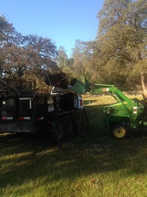 A green tractor loader lifts a pile of tree branches into the back of a black dump trailer in a grassy, wooded area.