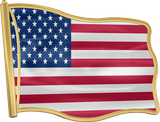 An american flag with a gold frame on a white background