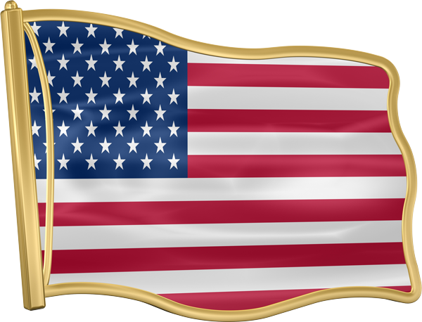 An american flag with a gold frame on a white background