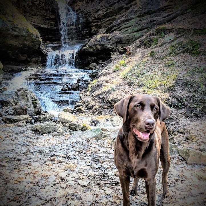 Information Munising, MI Horseshoe Falls & Gift Shop