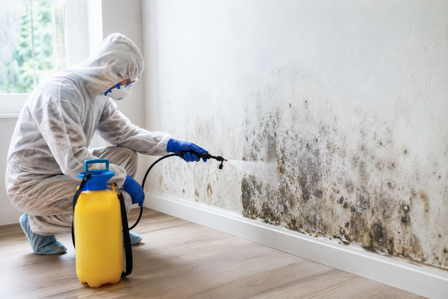 Person in protective gear spraying moldy wall with disinfectant in a room