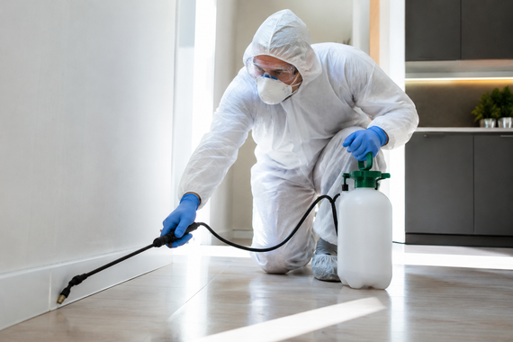Worker in white protective suit spraying disinfectant on a floor with a sprayer in a bright room