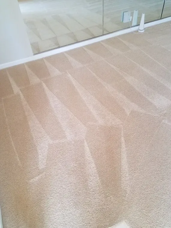 Carpeted floor with mirrored closet doors and a white baseboard trim