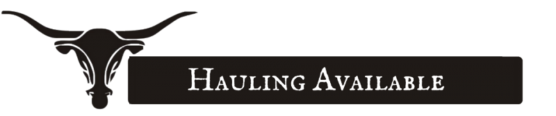 Black silhouette of a longhorn steer head next to a black rectangle with the white text