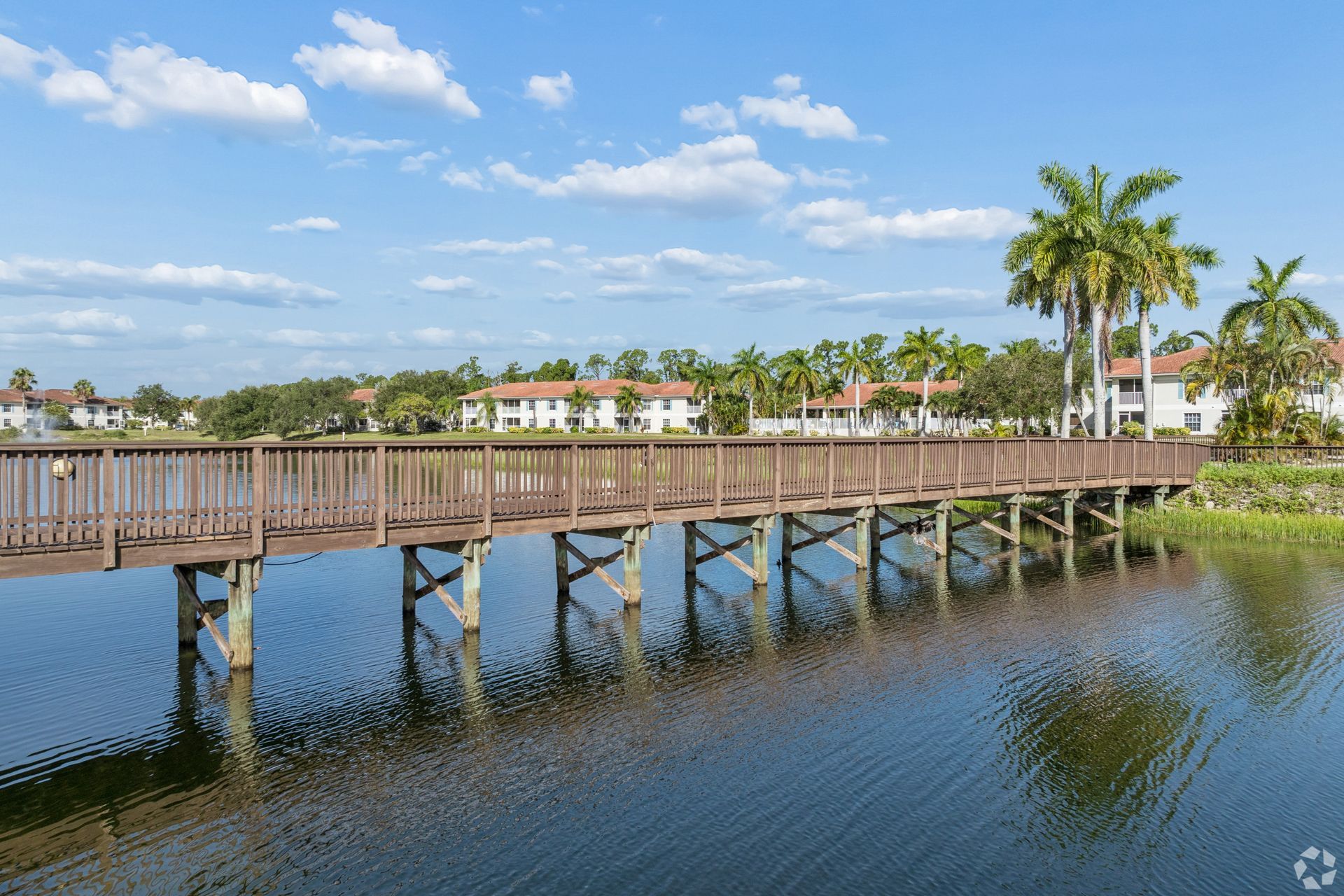 Wooden boardwalk over a calm waterfront with palm trees and houses under a blue sky