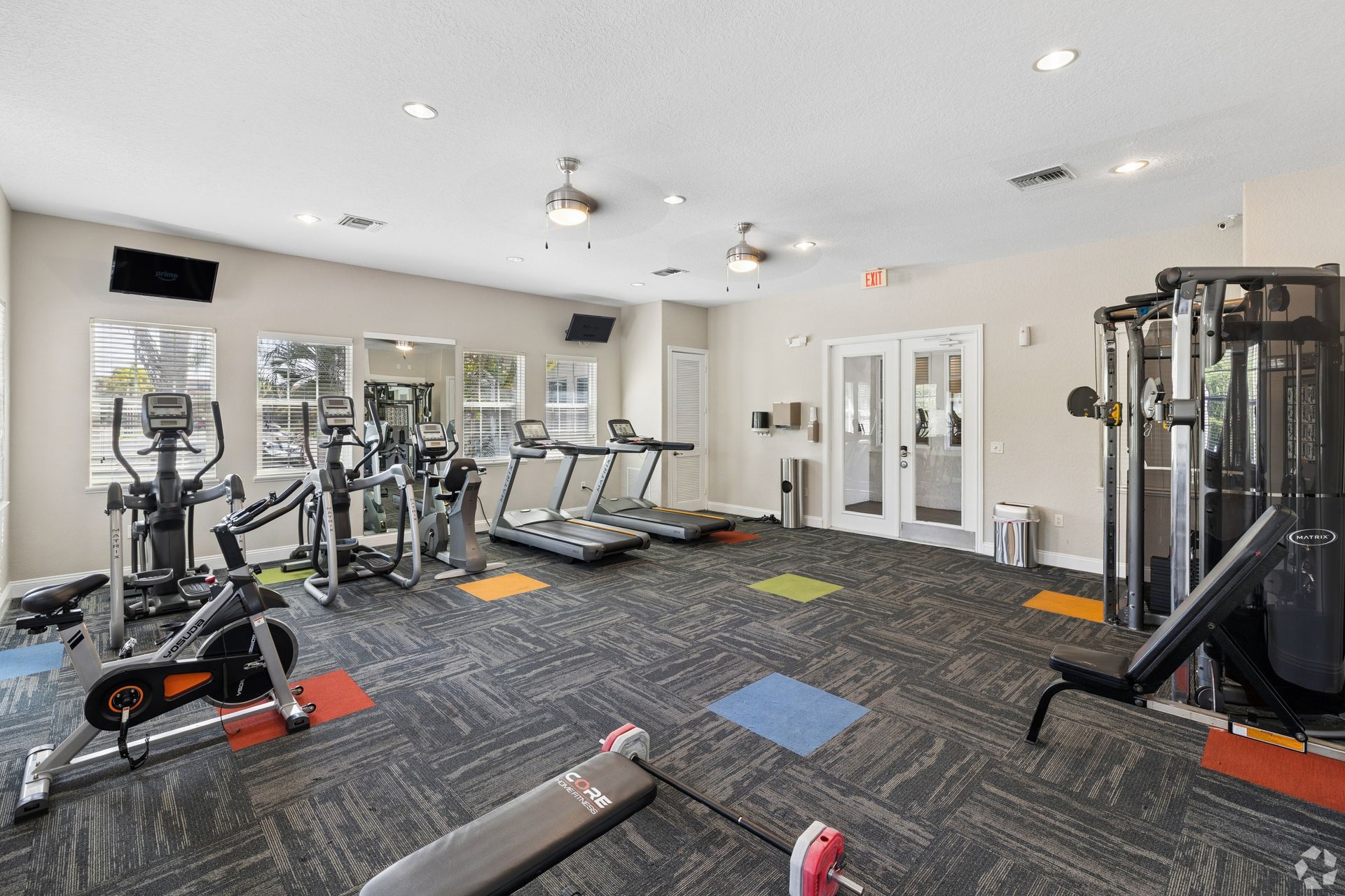 Bright gym room with treadmills, weight machines, mirrors, and patterned carpet