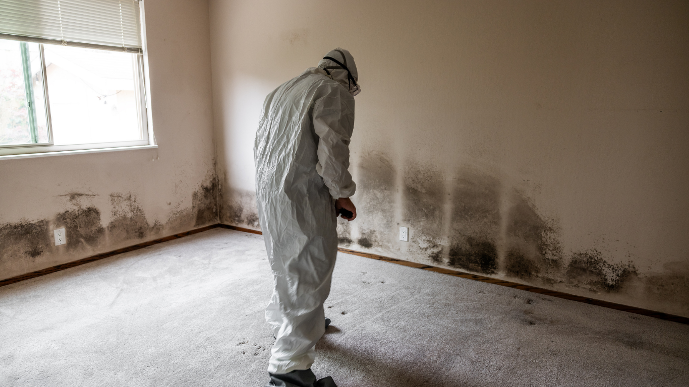 Person in hazmat suit inspecting a mold-infested room; dark mold stains on walls and carpet.