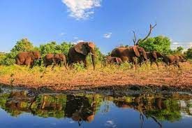Africa Adventure 1