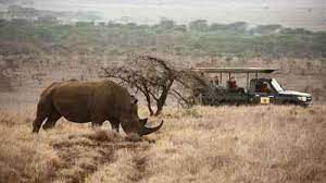 Africa Adventure 2