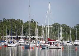Boats and sailboats docked at a marina with calm water and trees in the background