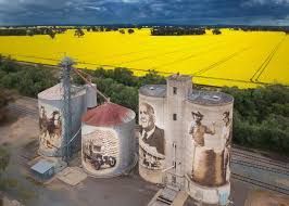 Three painted grain silos beside bright yellow fields and a tree-lined railway track