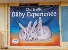 Banner for Charleville Bilby Experience. Shows three bilbies against a blue and orange background.