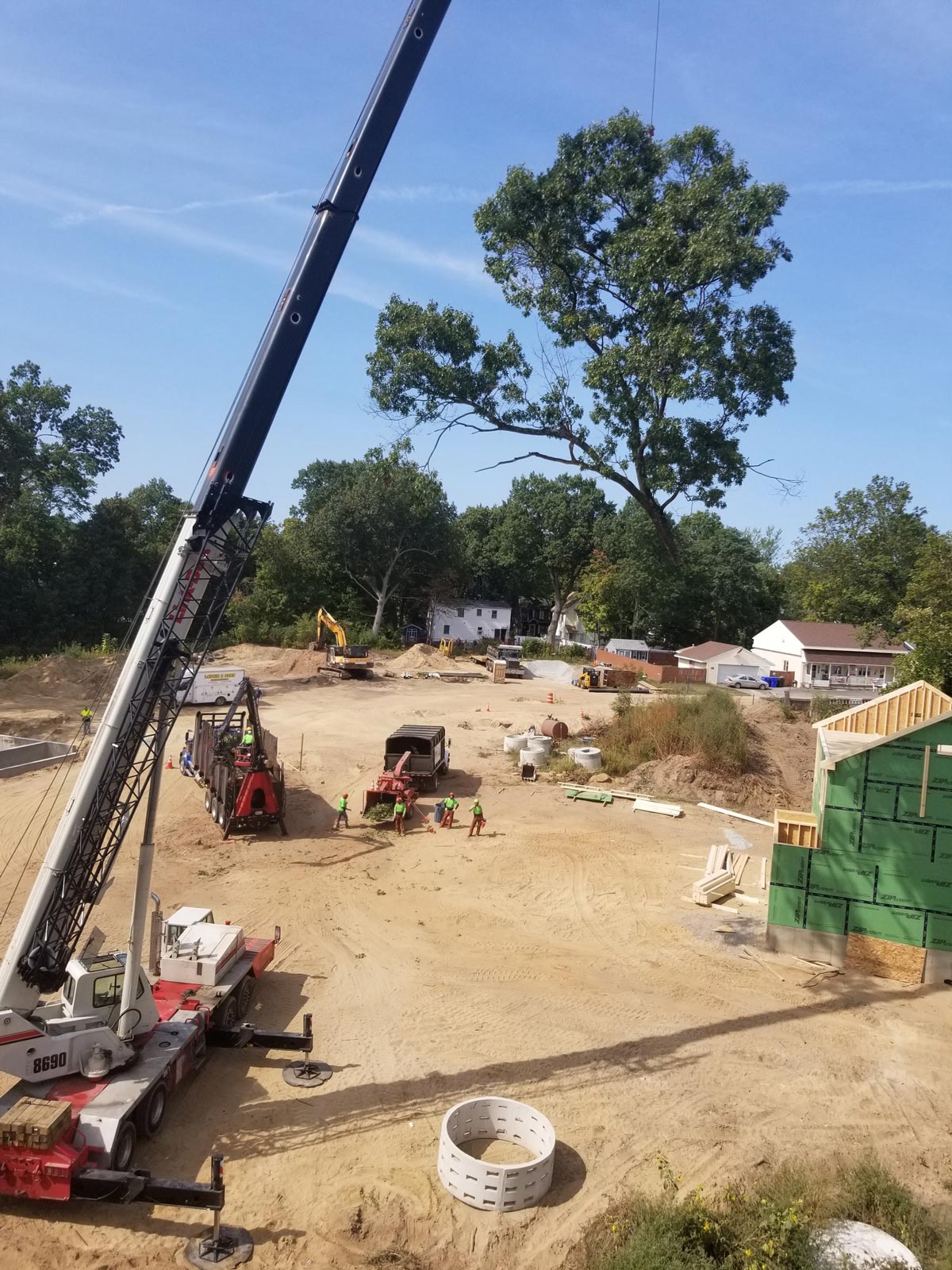Crane Truck Carrying Tree Branch — Springfield, MA — Mendez Tree Service LLC