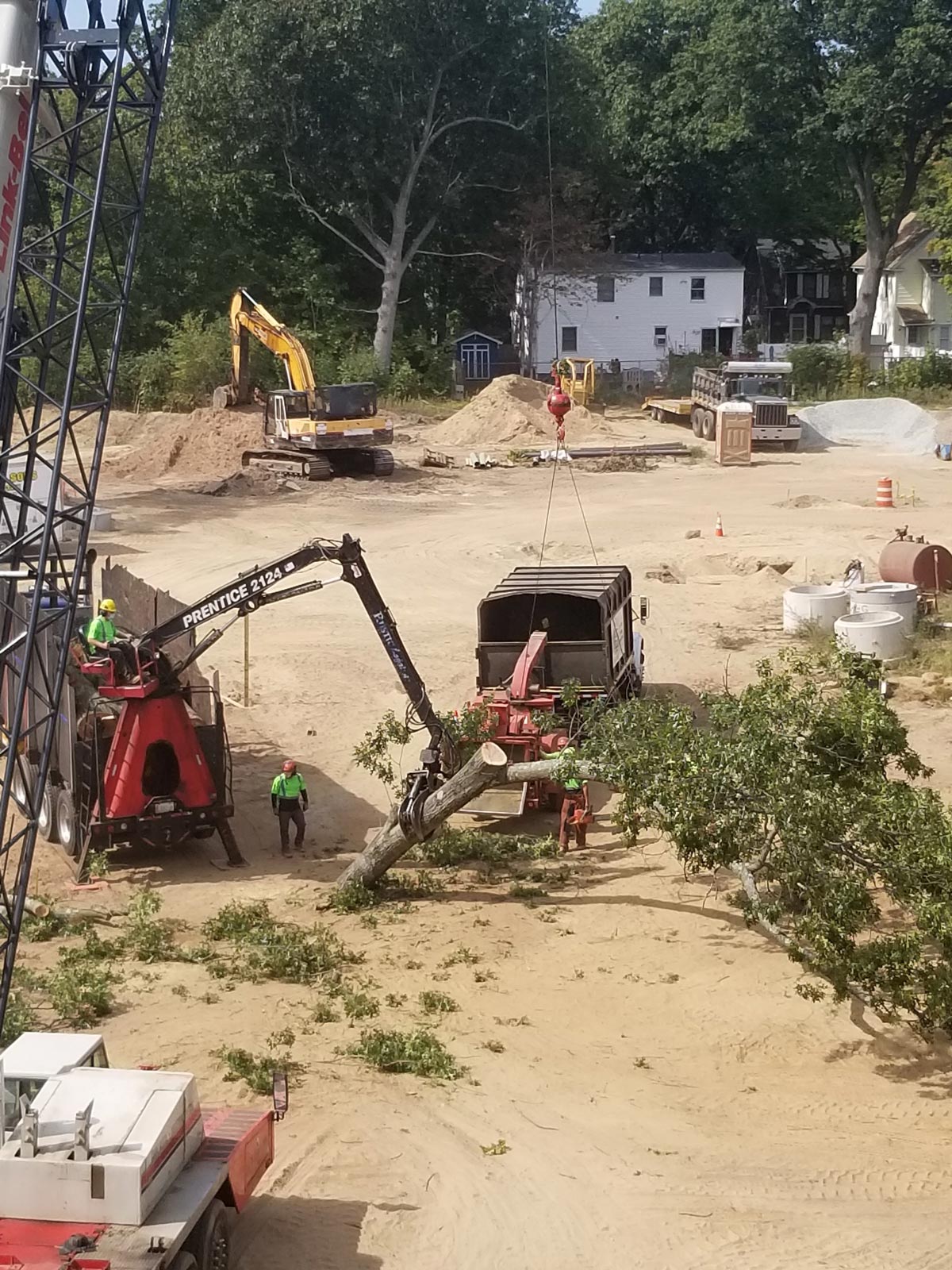 Carrying Tree Branch — Springfield, MA — Mendez Tree Service LLC