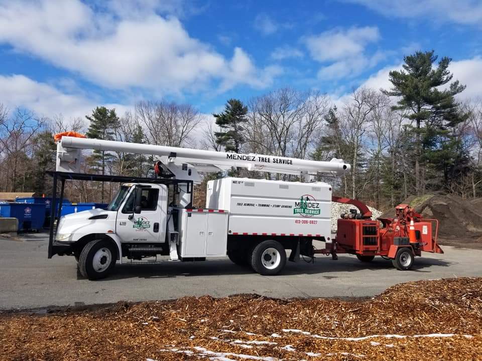 Mendez Tree Service Truck — Springfield, MA — Mendez Tree Service LLC