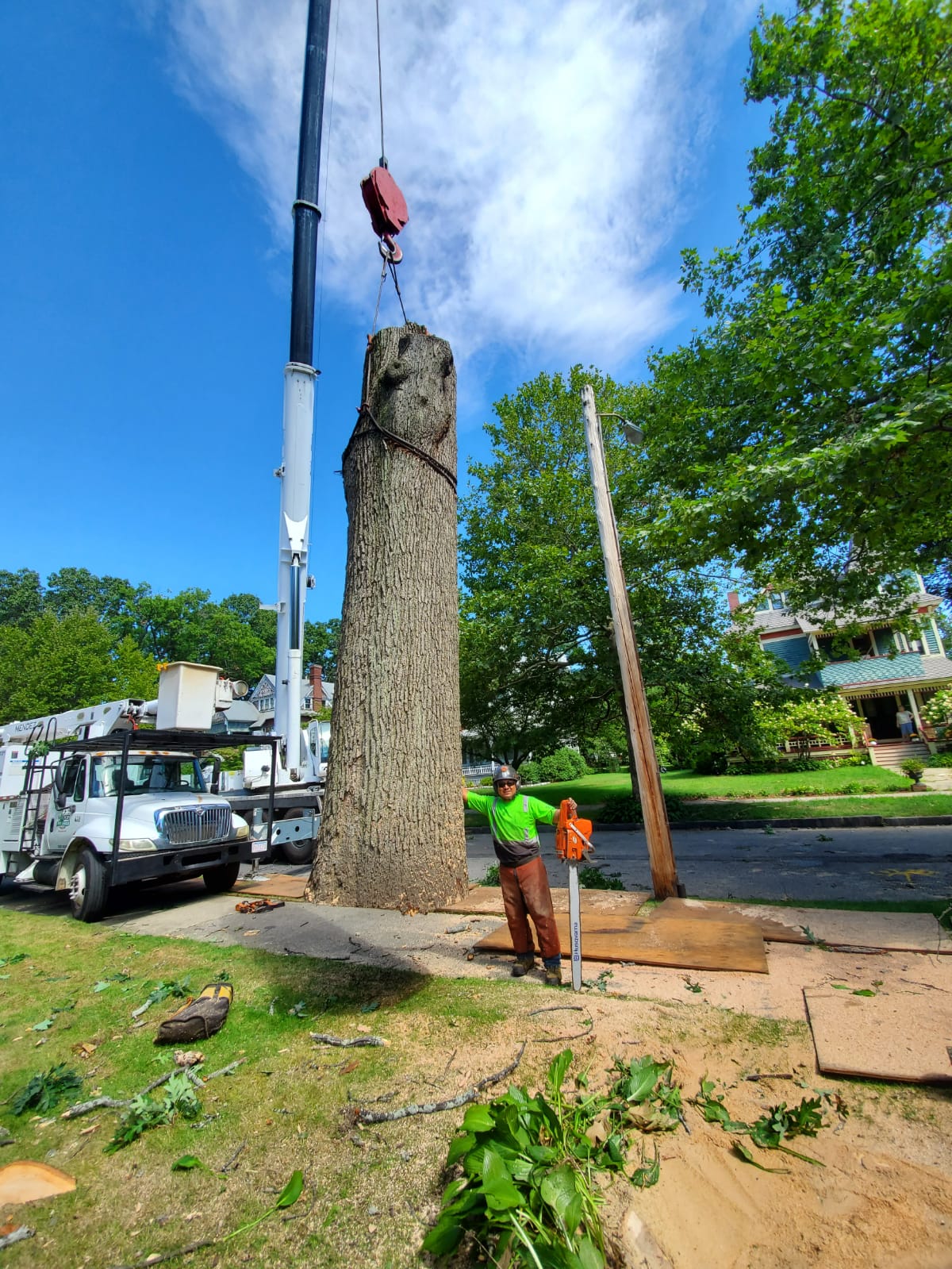 Man With Large Tree Trunk — Springfield, MA — Mendez Tree Service LLC
