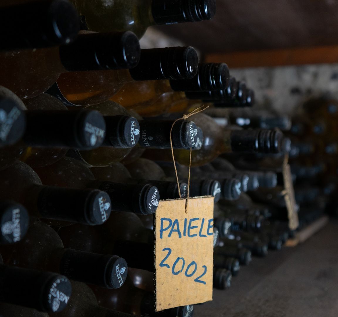 Wine botlles resting on their sides in a wine cellar