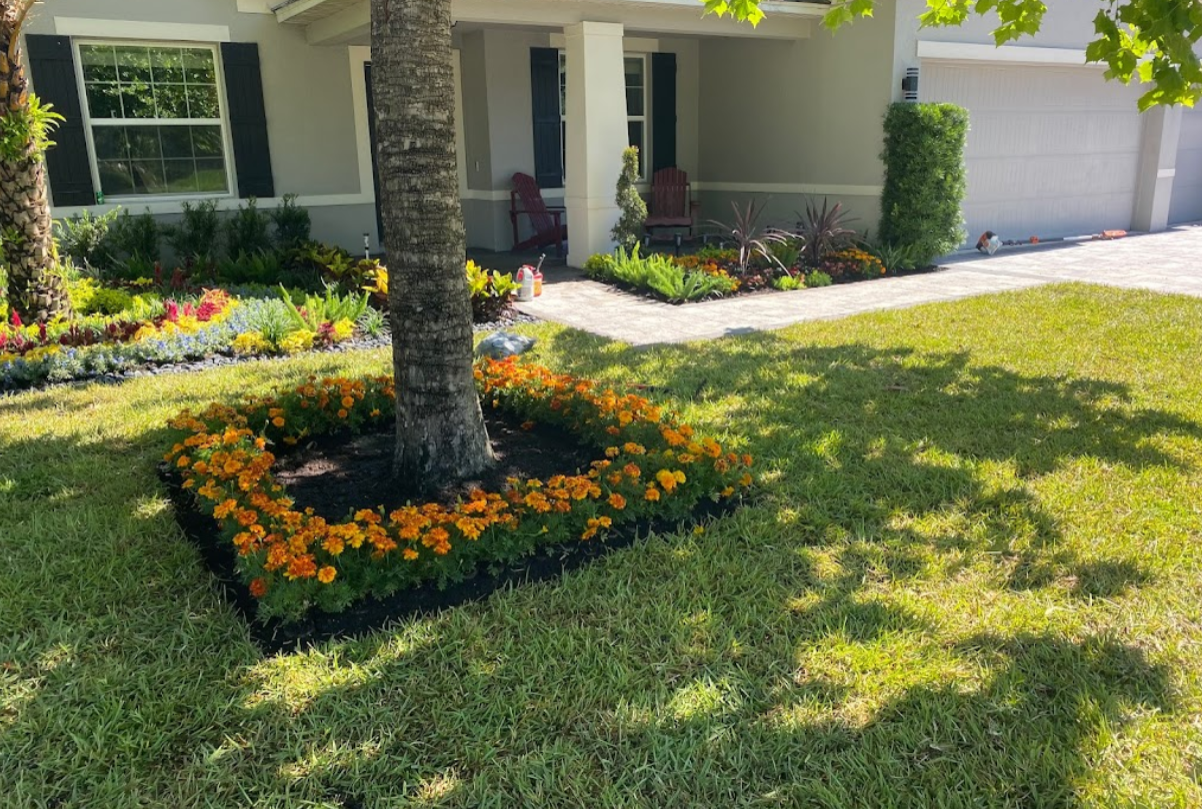 There is a tree in the middle of the lawn with flowers around it.