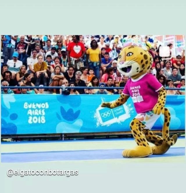 el gato con botargas
