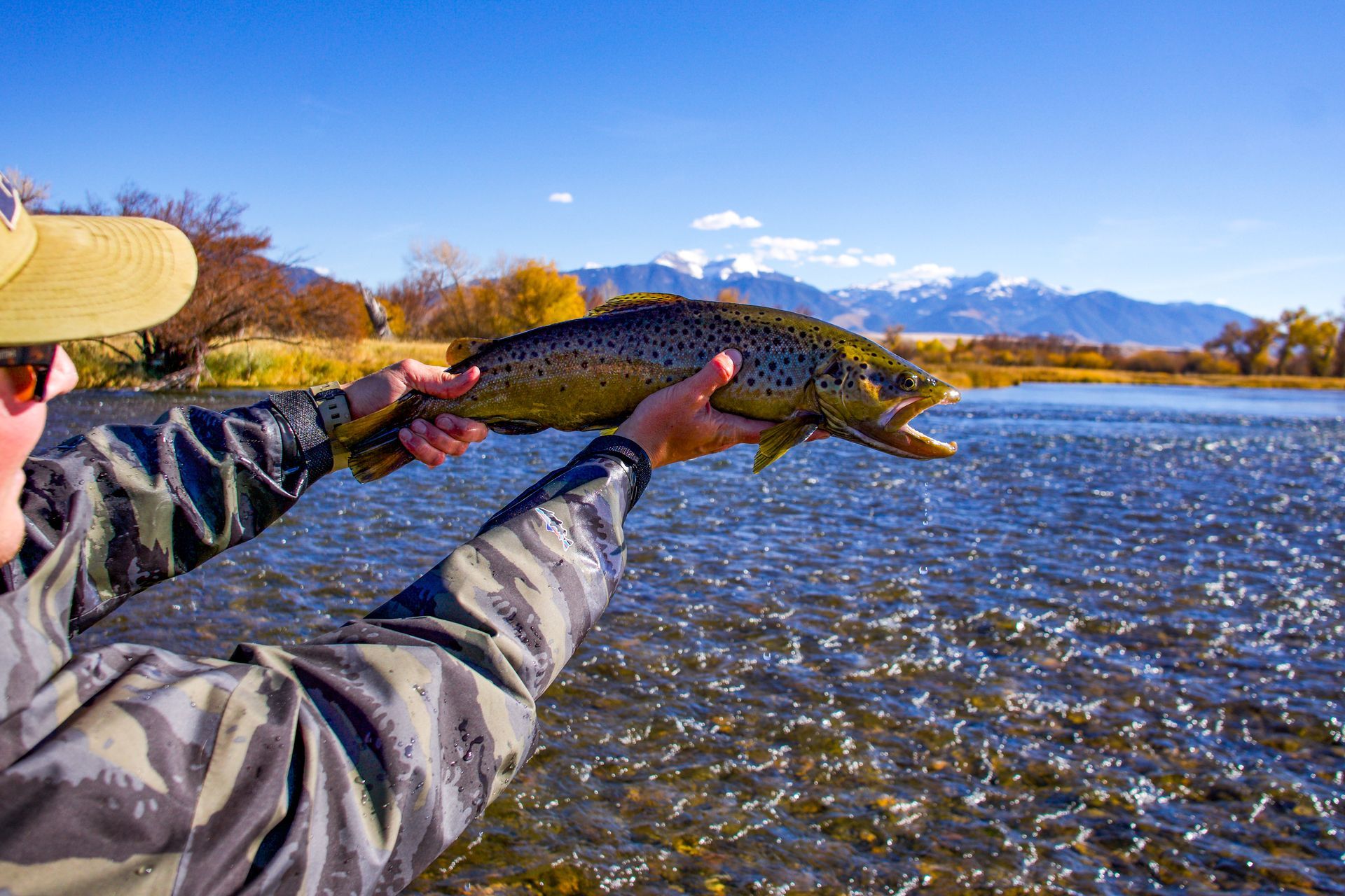 Person holding a fish by a river with mountains in the background