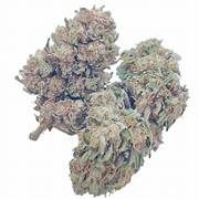 Hemp