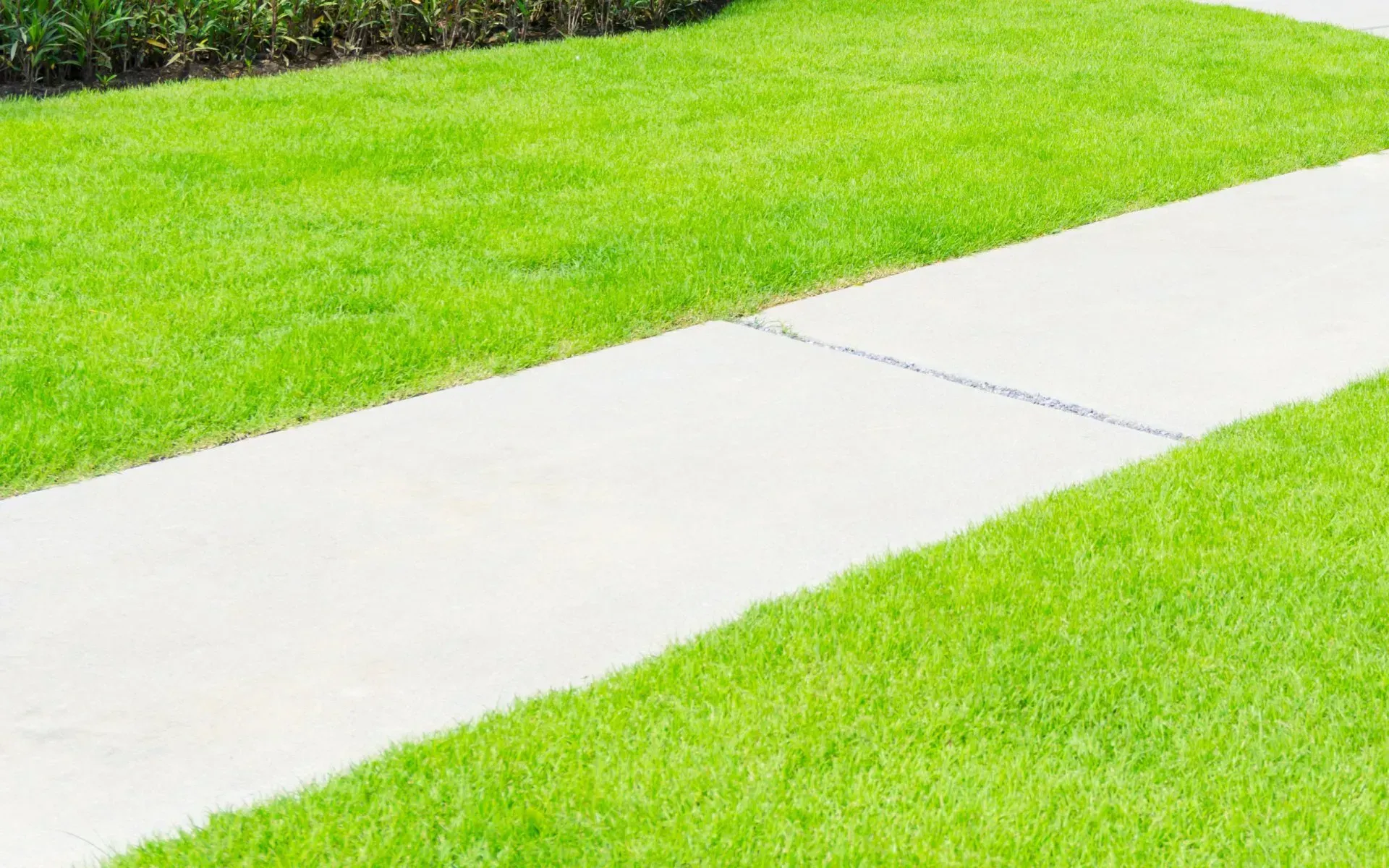 CONCRETE SIDEWALK LEVELING