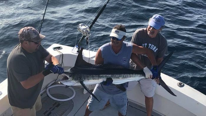 men carrying a long nose big fish