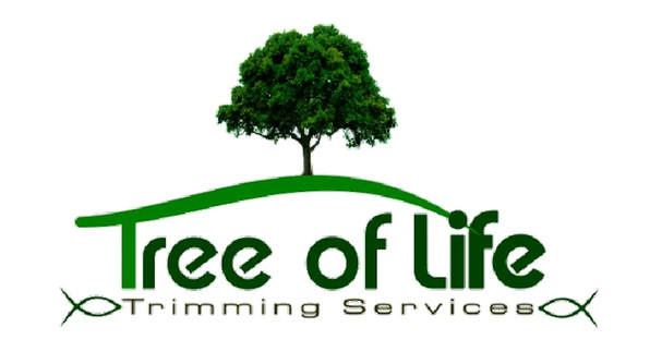 Logo: Green tree with