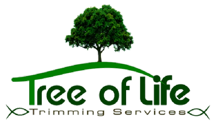 Logo: Green tree with