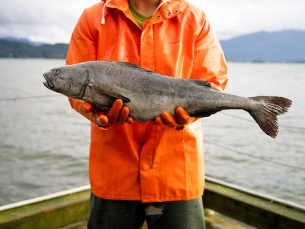 fisherman holding a fish
