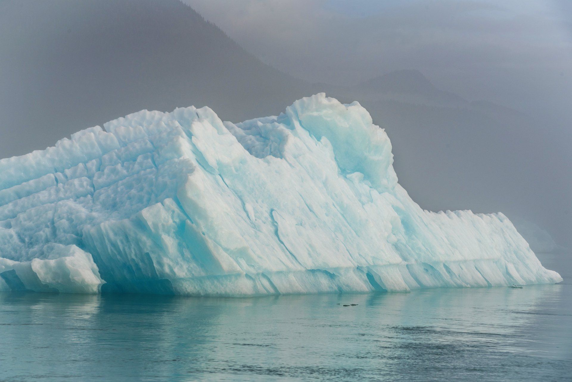 iceberg