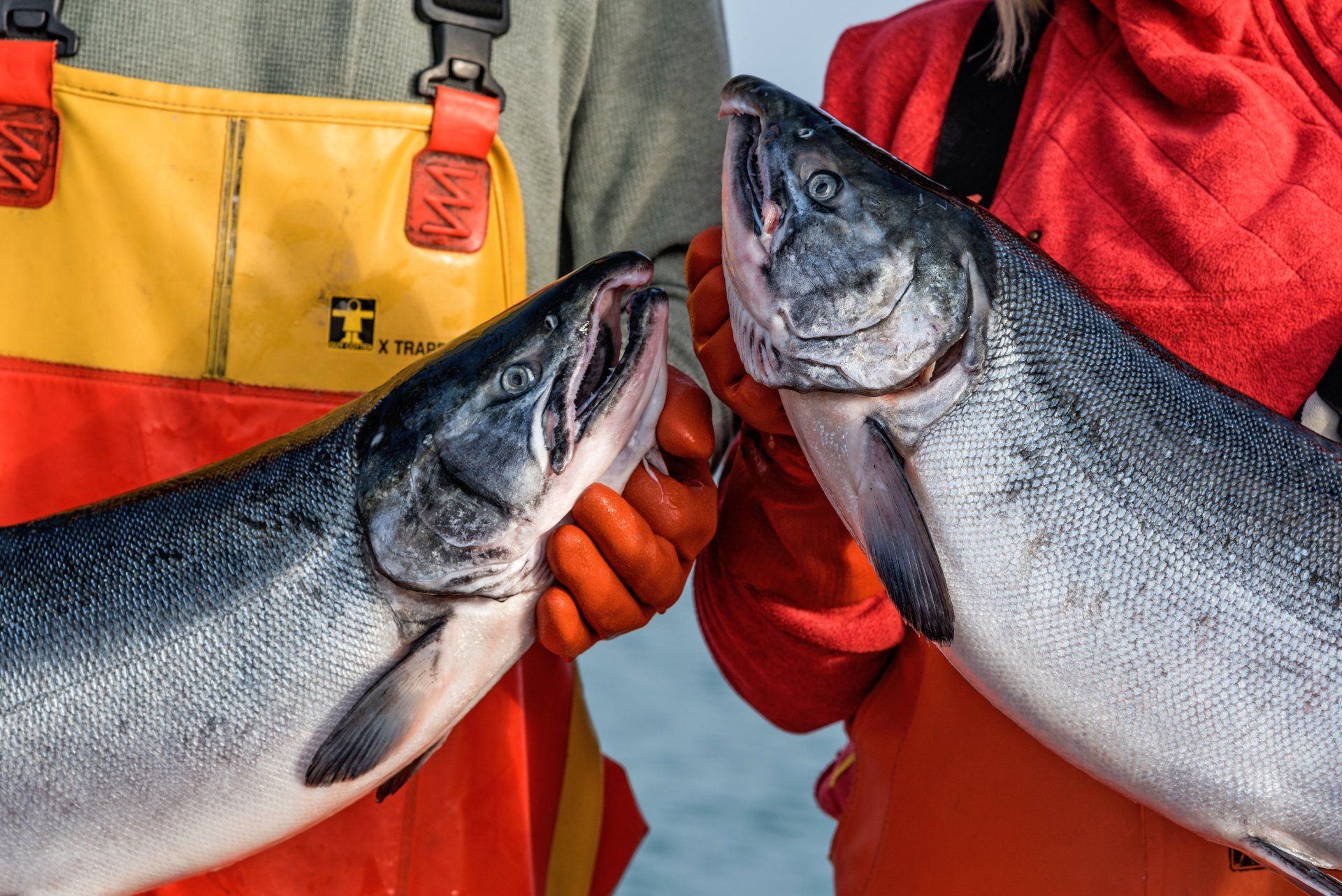 2 fishermen holding 2 large fish