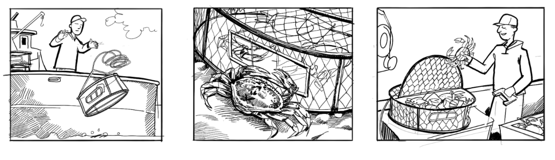 pot harvesting crabs