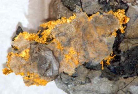 Valuation of Mineral Exploration Properties