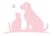 Un chien et un chat sont assis l'un à côté de l'autre sur un fond blanc.