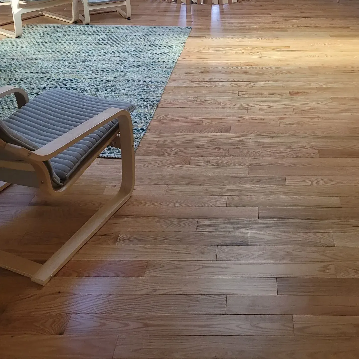 A hallway in a house with hardwood floors and a white door.