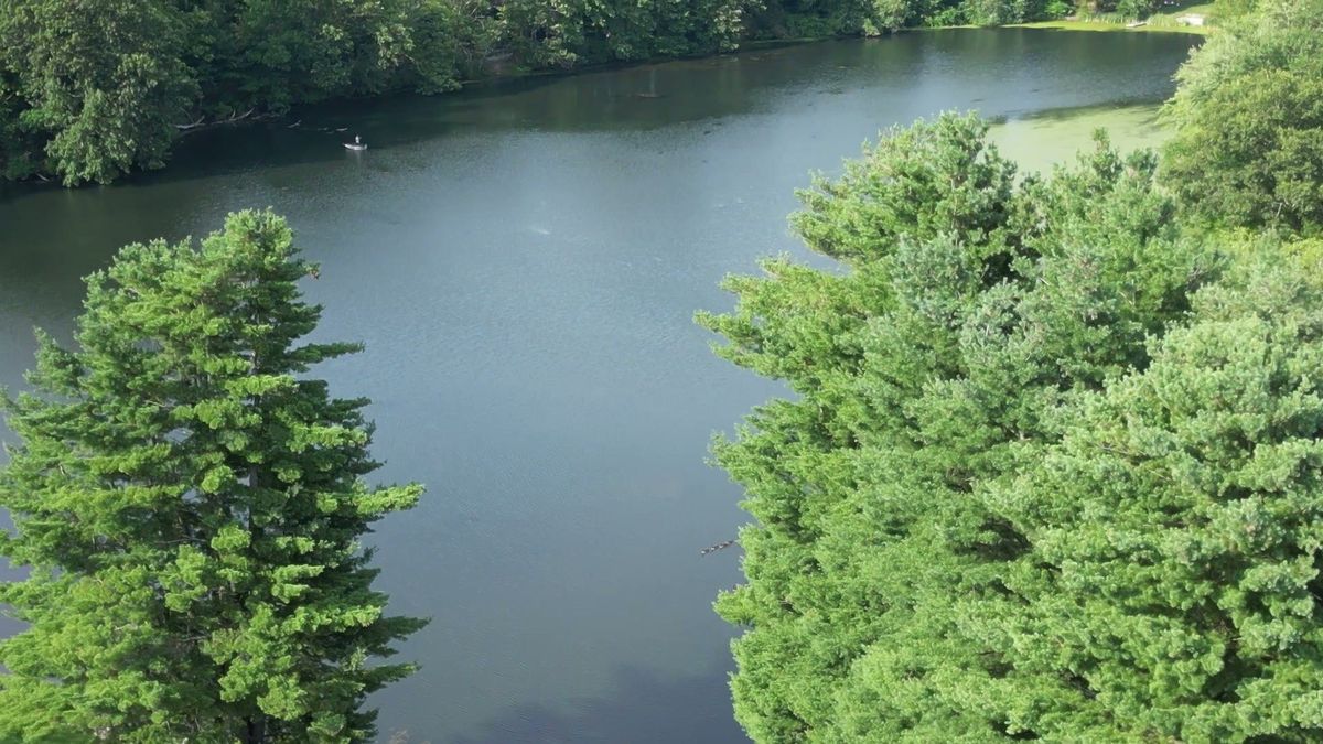 Aerial view of the pond near the Canton property